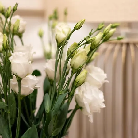 Deonly Wonderland דירה