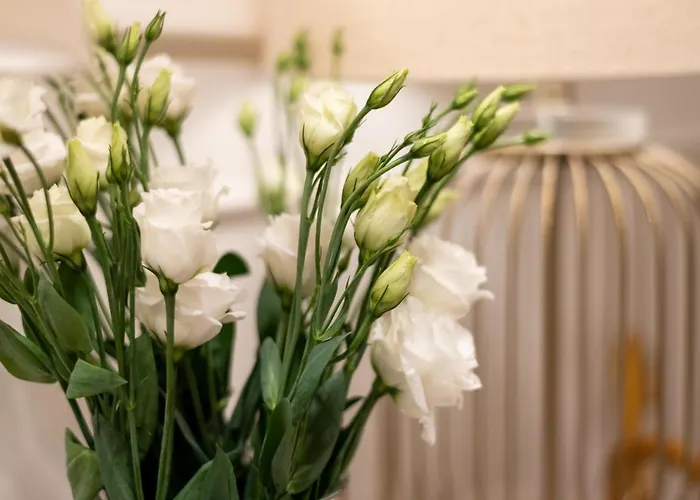 Deonly Wonderland Апартаменты